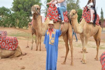 Paseo en camello por Agadir con traslados al hotel