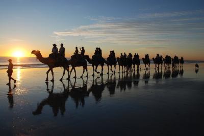 Sunset Camel Ride en Agadir con traslados