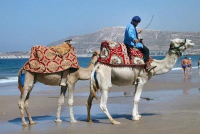 Agadir Camel Ride - 2 horas
