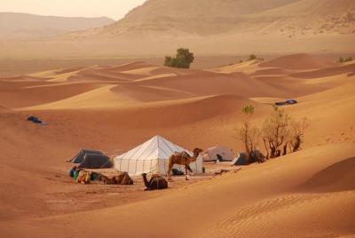 Agadir / Zagora Tour 2 días 1 noche en tiendas nómadas.