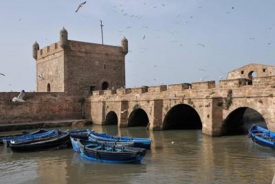 Excursión de un día a Essaouira desde Agadir