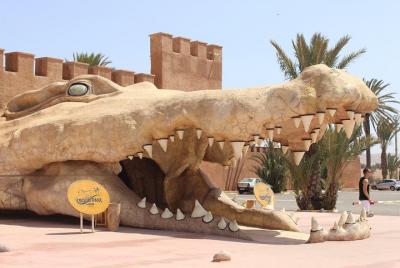 Croco Tour: traslado al crocoparc Agadir (entradas incluidas)