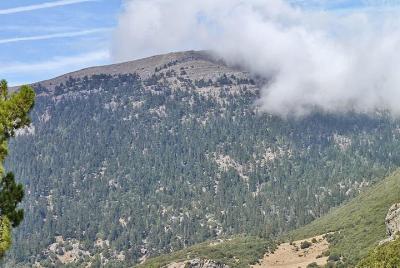 Excursión de día completo al monte Lakraa (más alto en el parque Talassemtane)