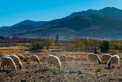 Paseo a caballo por las montañas del Atlas y excursión de un día a los valles 3 desde Marrakech