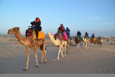 Essaouira: paseo de 4 horas en la parte trasera del dromedario con comida.