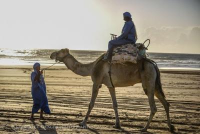 Day Camel Ride con picnic en la playa de Essaouira