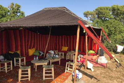 Essaouira: viaje en quad de 2 días y 1 noche (tiendas bereberes)