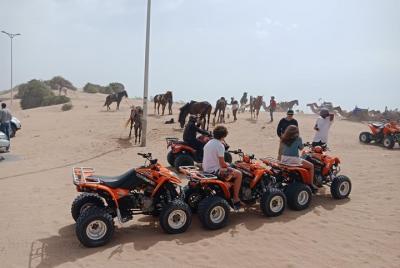 Excursión 1/2 día en Quad región sur de Essaouira
