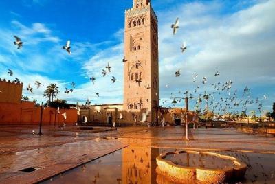 Traslado privado desde Essaouira a Marrakech