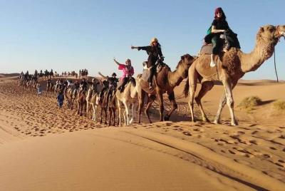 Desierto del Sahara durante la noche desde Fez a Fez (grupo pequeño) Desierto del Sahara durante la noche desde Fez a Fez (grupo pequeño)