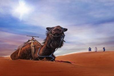 Fez a Fez 2 días tour del desierto Fez a Fez 2 días tour del desierto
