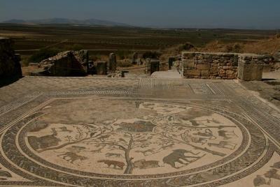 Tour privado desde Fez: Meknès y ruinas romanas de Volubilis Tour privado desde Fez: Meknès y ruinas romanas de Volubilis