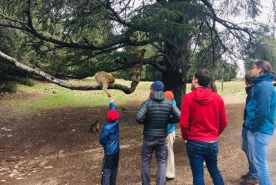 Excursión de un día desde Fez a las montañas del Atlas Medio, el bosque de cedros y Azrou Excursión de un día desde Fez a las montañas del Atlas Medio, el bosque de cedros y Azrou
