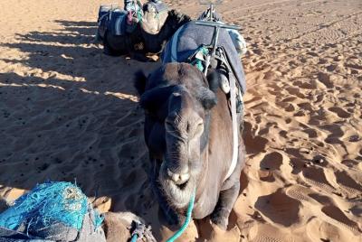 Viaje en grupo pequeño de 3 días al desierto desde Fez a Marrakech Viaje en grupo pequeño de 3 días al desierto desde Fez a Marrakech