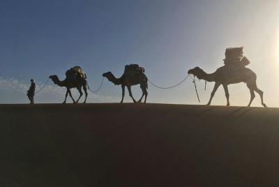Sahara Express - Camel Trek y 4x4 - Erg Chigaga Great Dunes, salida M'Hamid