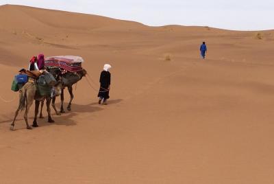 Camello Trekking la 'Puerta al Desierto'