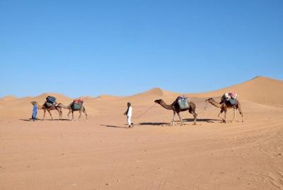 Circuito del desierto