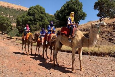 Excursión de un día a las montañas del Atlas toubkal desde marrakech y paseo en camello, pueblo bereber