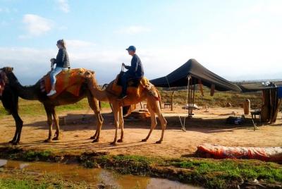 El mejor viaje cultural de día completo a las montañas del Atlas desde Marrakech