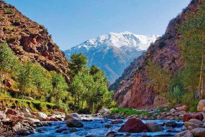 Valle de Ourika: excursión de un día a las montañas del Atlas desde Marrakech