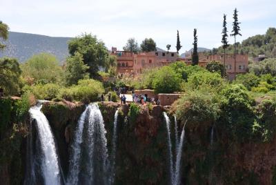 Excursión de un día completo a las cascadas de Ouzoud desde Marrakech