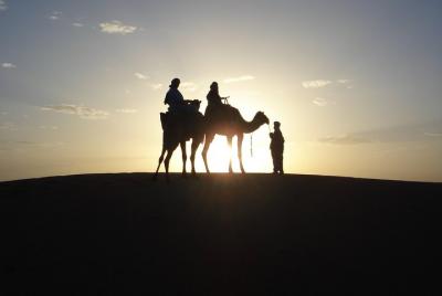 Paseo en camello al atardecer por el oasis de Agafay con cena de barbacoa