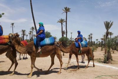 Paseo en camello por Marrakech