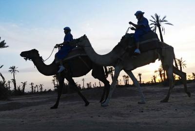Paseo en dromedario en el oasis de palmeras