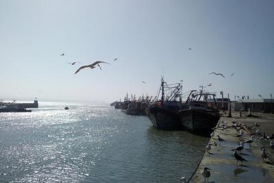 Excursión de un día a Essaouira Excursión de un día a Essaouira