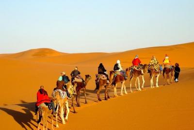 pernocte en el desierto de zagoura 1n / 2 días pernocte en el desierto de zagoura 1n / 2 días