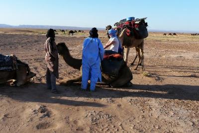 Caminata por el desierto de Marruecos en dromedario Caminata por el desierto de Marruecos en dromedario