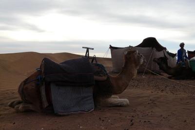 Safari de dos días en el desierto a Zagora desde Marrakech, incluido el paseo en camello Safari de dos días en el desierto a Zagora desde Marrakech, incluido el paseo en camello