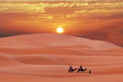 Excursión al desierto de Merzouga desde Marrakech y paseo en camello Excursión al desierto de Merzouga desde Marrakech y paseo en camello
