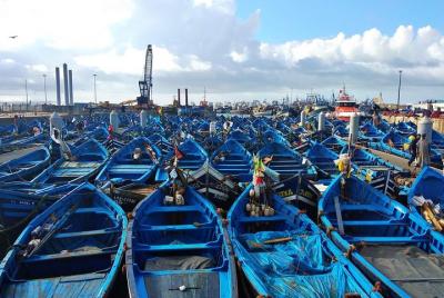 Excursión de un día desde Marrakech a Essaouira