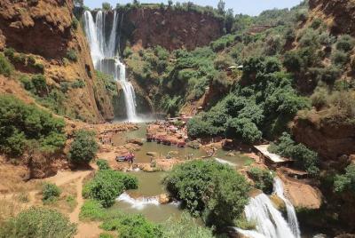 Excursión de un día completo a las cascadas de Ouzoud desde Marrakech