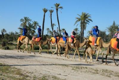 Paseo en camello de Marrakech