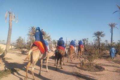 Balade à dos de Chameau en la palmera de Marrakech