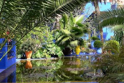 El jardín Majorelle y el palmeral en camello de Marrakech El jardín Majorelle y el palmeral en camello de Marrakech
