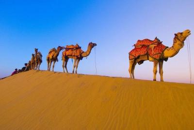 Marrakech a Merzouga Safari de 3 días en el desierto Marrakech a Merzouga Safari de 3 días en el desierto