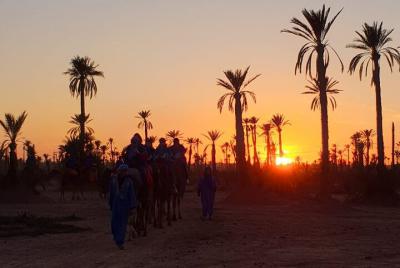 Paseo en camello al atardecer por Marrakech en la Palmeraie
