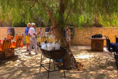 Excursión privada de un día al viñedo Val d Excursión privada de un día al viñedo Val d'Argan incluido Almuerzo de cata de vinos, por persona