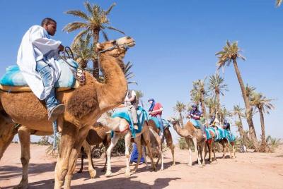 Paquete de paseo en camello, quads y hammam con masaje.