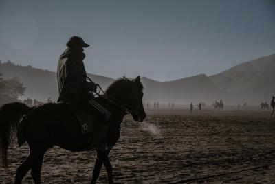 Estancia y entrenamiento a caballo
