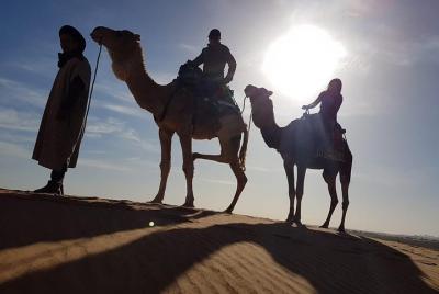 Sahara Camel Trekking - Noche en el campamento