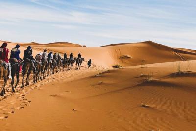 Paseo en camello en Merzouga con 1 noche en el campamento del desierto