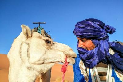 Tour en profundidad del Sahara y viaje ecológico