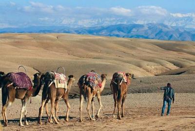 Desayuno en el desierto de agafay con paseo en camello y relajación hammam marroquí