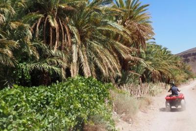 Excursión guiada de 1 día en quad / ATV a Fint Oasis Excursión guiada de 1 día en quad / ATV a Fint Oasis