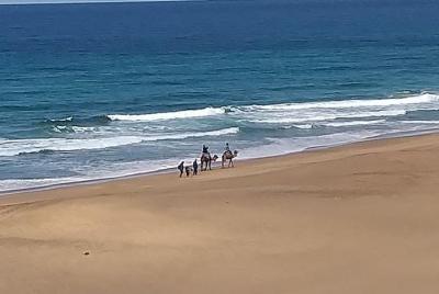 Excursión de día completo a Asilah y Tánger