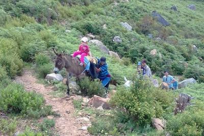 Excursión de día completo al parque Bouhachem por Mules y Chefchaouen Excursión de día completo al parque Bouhachem por Mules y Chefchaouen